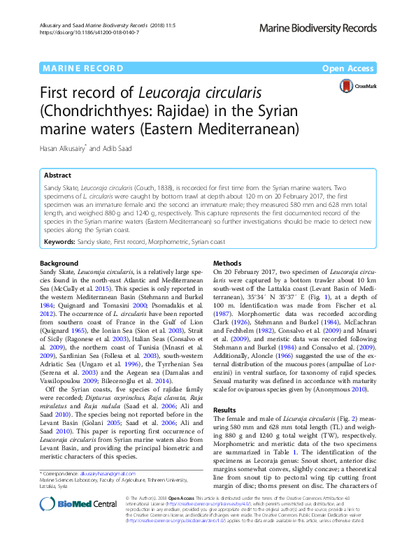 (PDF) First record of Leucoraja circularis (Chondrichthyes: Rajidae) in ...