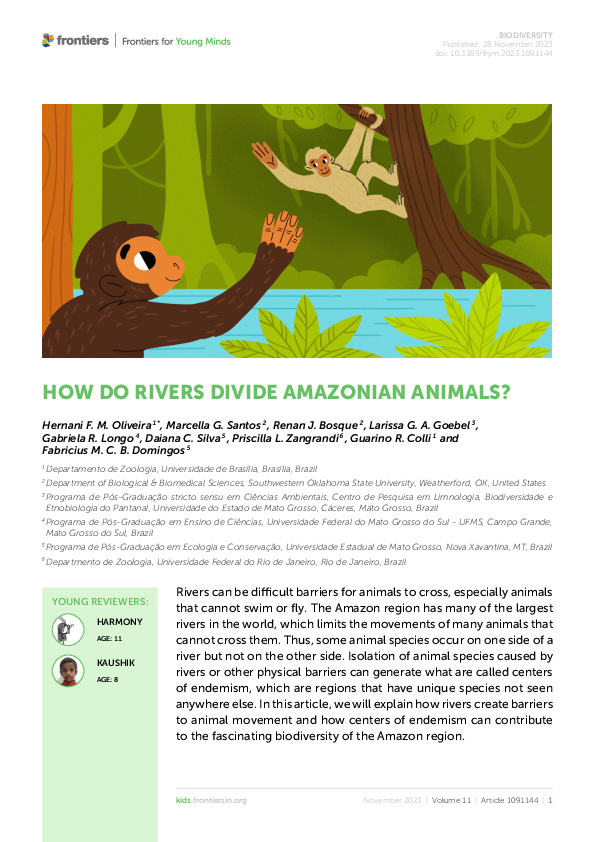 (PDF) How Do Rivers Divide Amazonian Animals?