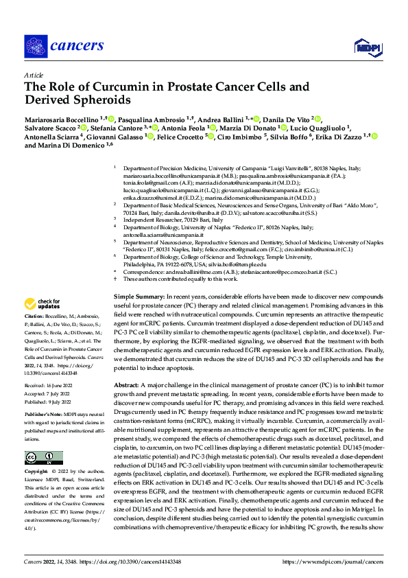 (PDF) The Role of Curcumin in Prostate Cancer Cells and Derived Spheroids