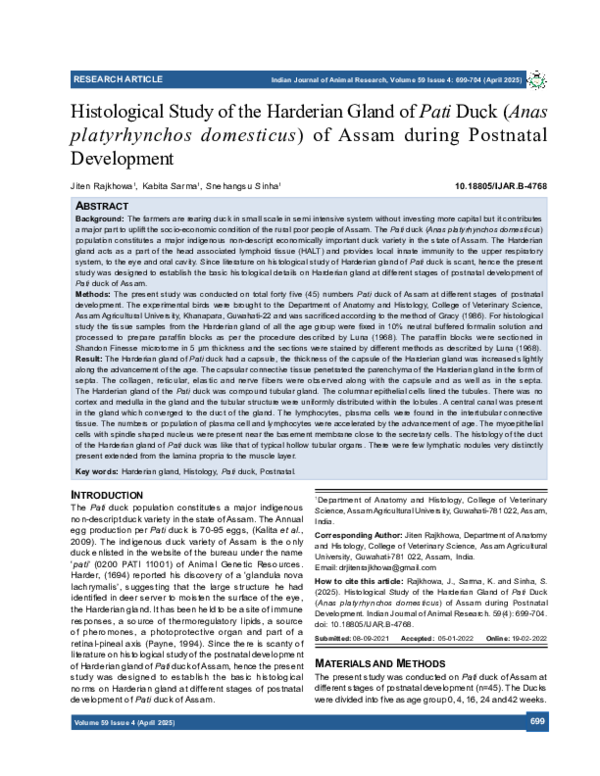 (PDF) Histological Study of the Harderian Gland of Pati Duck (Anas ...