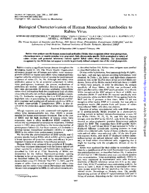 (PDF) Biological characterization of human monoclonal antibodies to ...