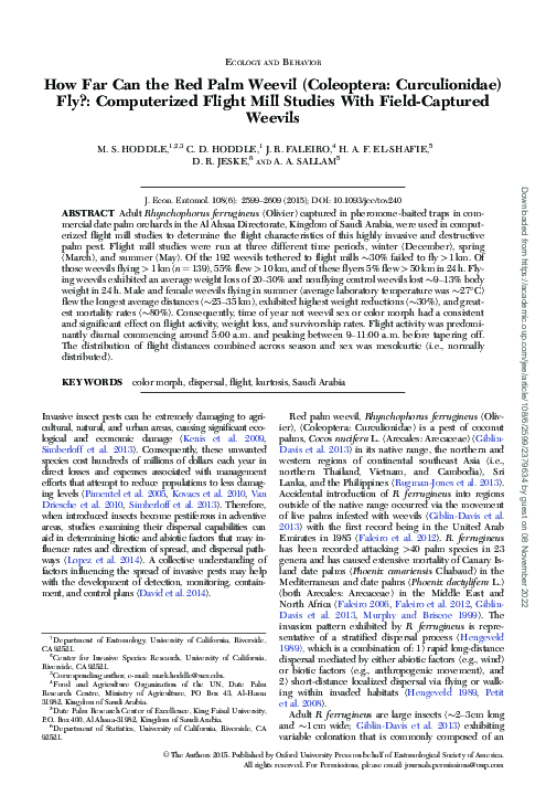 (PDF) How Far Can the Red Palm Weevil (Coleoptera: Curculionidae) Fly ...