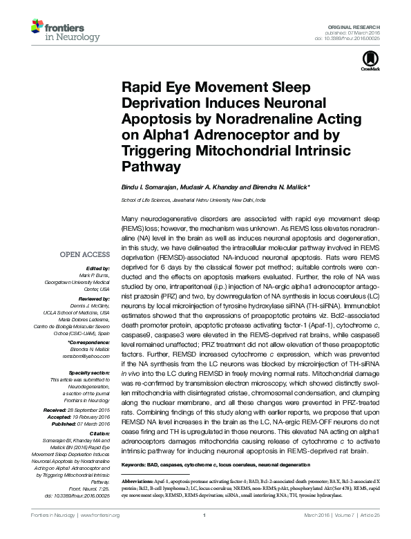 (PDF) Rapid Eye Movement Sleep Deprivation Induces Neuronal Apoptosis ...
