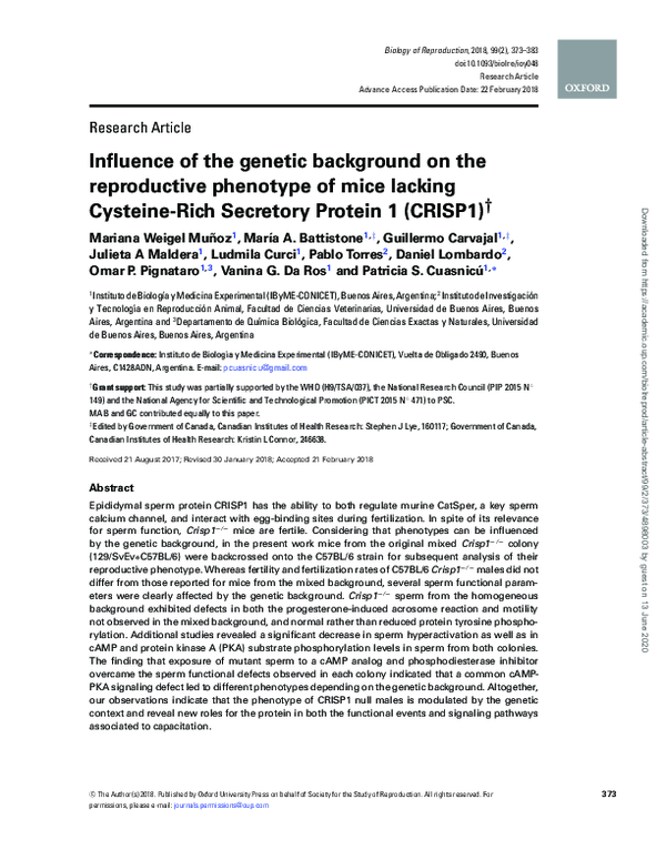 (PDF) Influence of the genetic background on the reproductive phenotype ...