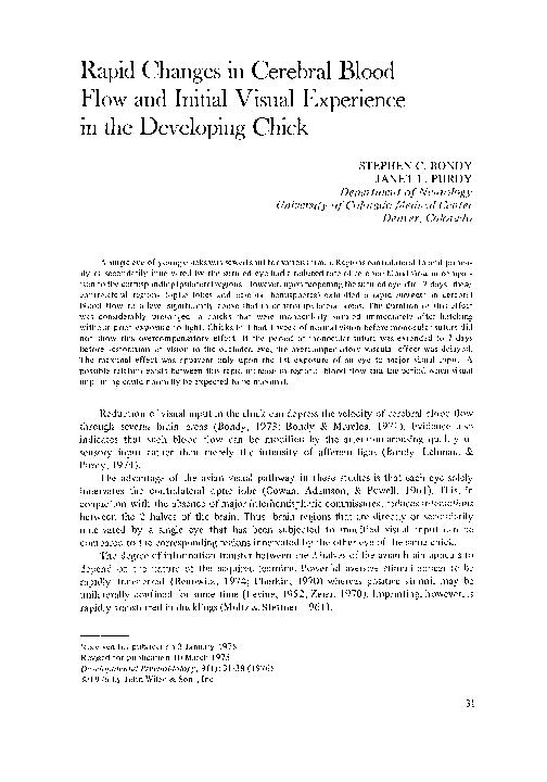 (PDF) Rapid changes in cerebral blood flow and initial visual ...