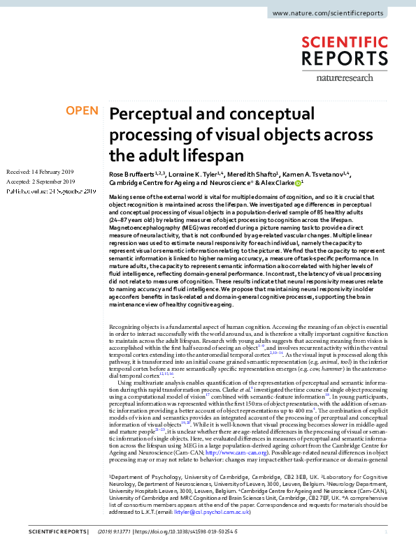 (PDF) Perceptual and conceptual processing of visual objects across the ...
