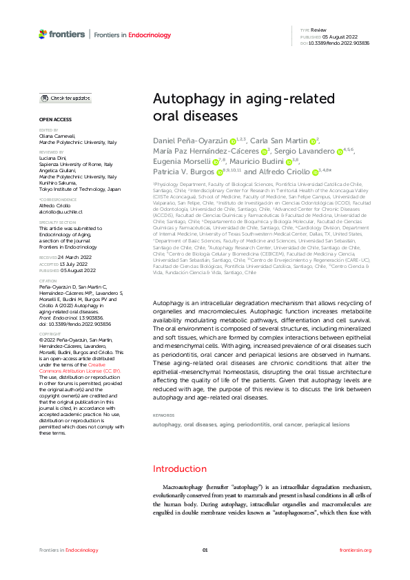 (PDF) Autophagy in aging-related oral diseases