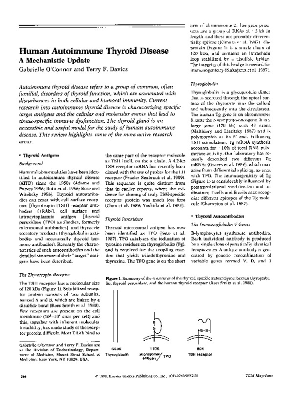 (PDF) Human autoimmune thyroid disease A mechanistic update