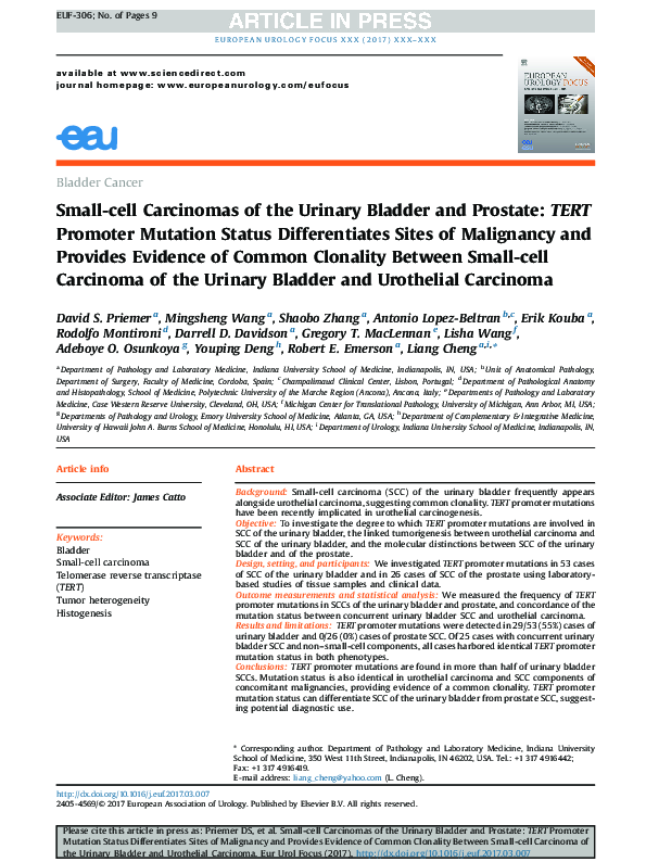 (PDF) Small-cell Carcinomas of the Urinary Bladder and Prostate: TERT ...