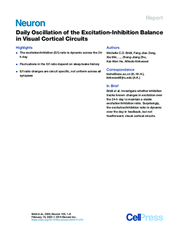(PDF) Daily Oscillation of the Excitation-Inhibition Balance in Visual ...