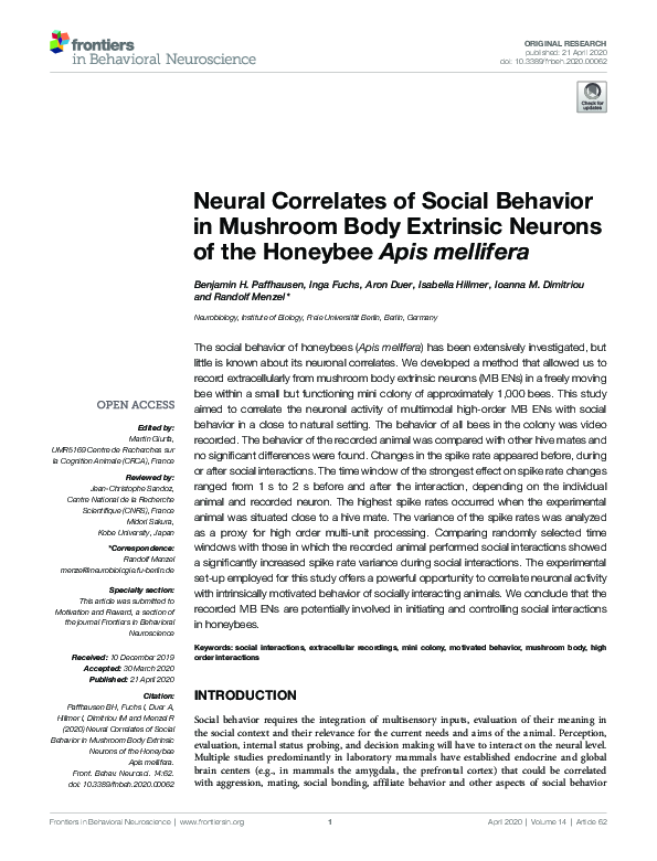 (PDF) Neural Correlates of Social Behavior in Mushroom Body Extrinsic ...