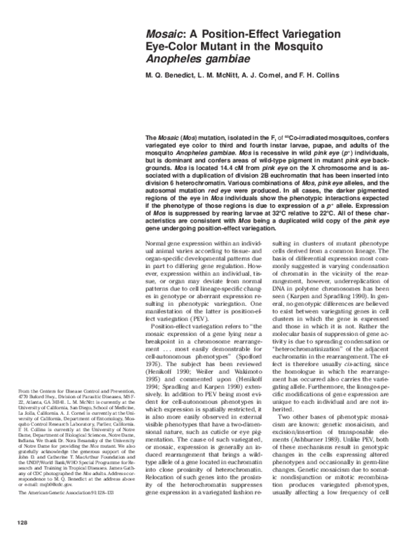 (PDF) Mosaic: a position-effect variegation eye-color mutant in the ...