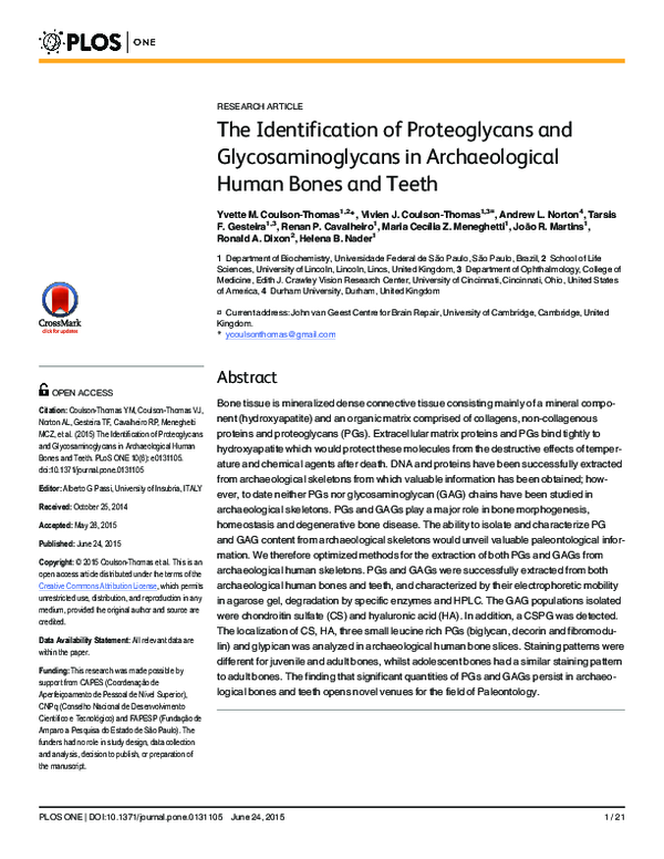 (PDF) The Identification of Proteoglycans and Glycosaminoglycans in ...