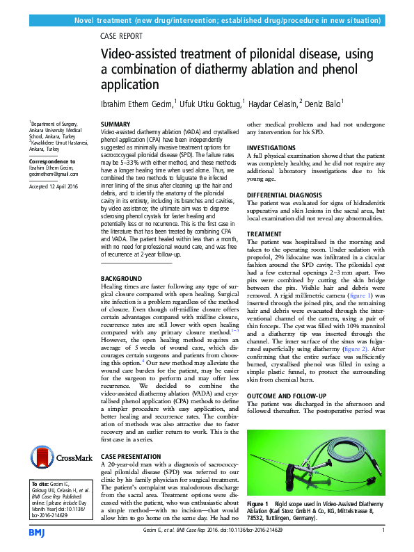 (PDF) Video-assisted treatment of pilonidal disease, using a ...