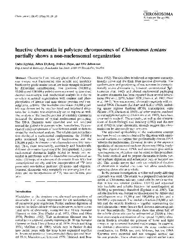 (PDF) Inactive chromatin in polytene chromosomes of Chironomus tentans ...