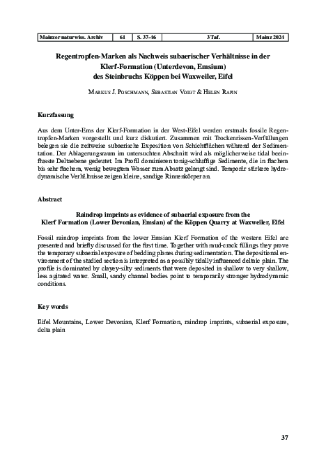 (PDF) Regentropfen-Marken als Nachweis subaerischer Verhältnisse in der ...