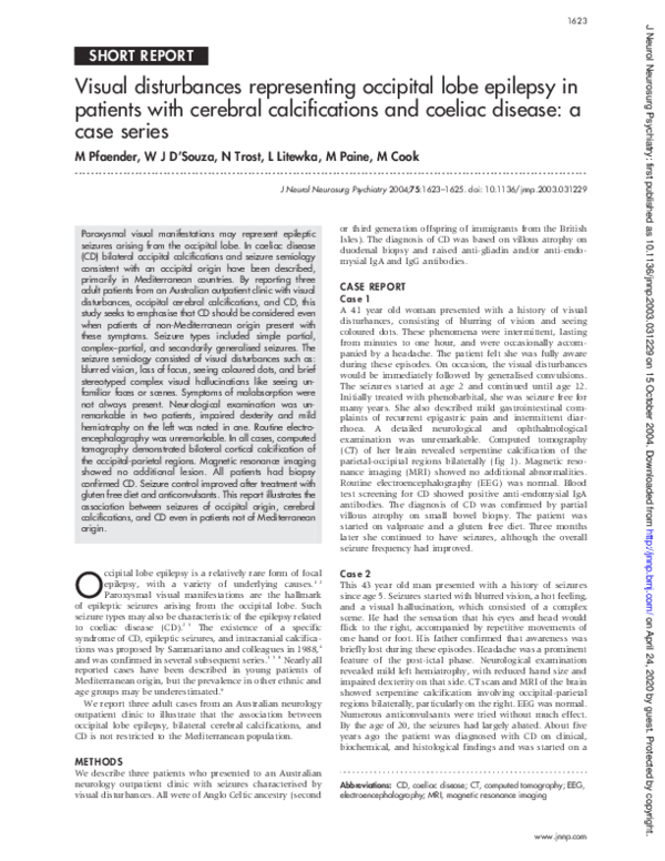 (PDF) Visual disturbances representing occipital lobe epilepsy in ...