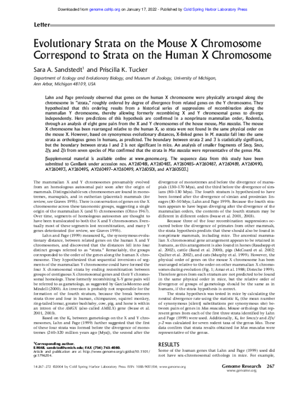 (PDF) Evolutionary Strata on the Mouse X Chromosome Correspond to ...