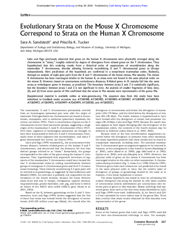 (PDF) Evolutionary Strata on the Mouse X Chromosome Correspond to ...