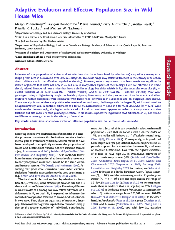 (PDF) Adaptive Evolution and Effective Population Size in Wild House Mice
