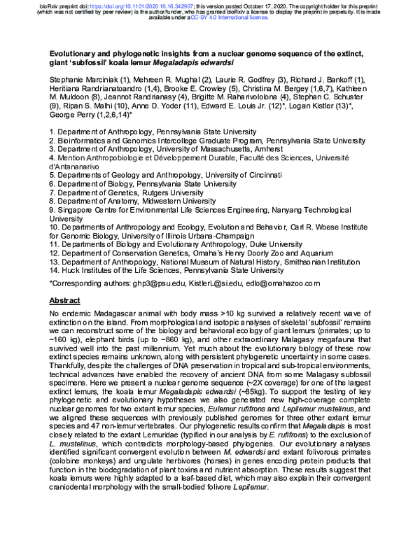 (PDF) Evolutionary and phylogenetic insights from a nuclear genome ...
