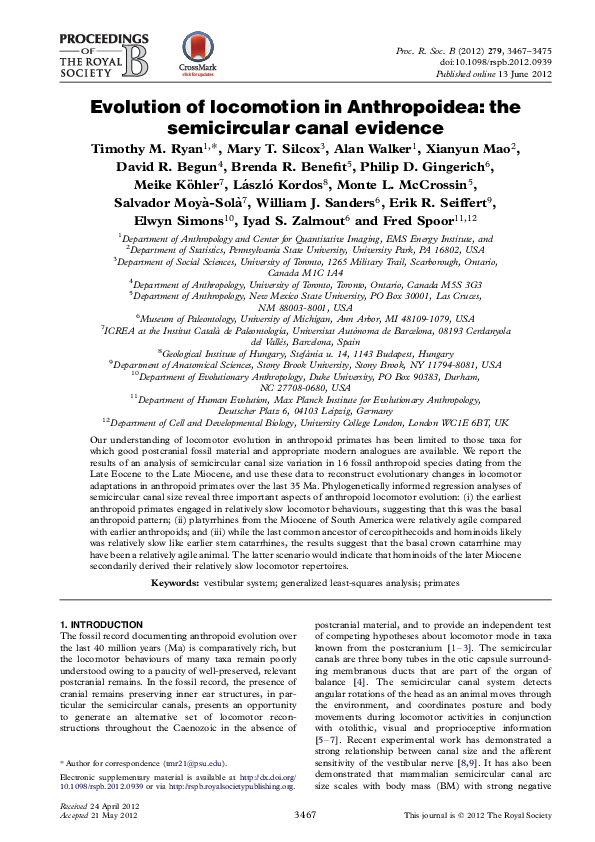(PDF) Evolution of locomotion in Anthropoidea: the semicircular canal ...