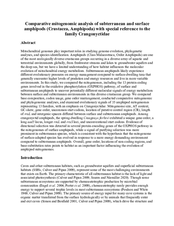 (PDF) Comparative mitogenomic analysis of subterranean and surface ...