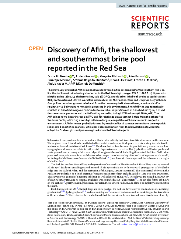 (PDF) Discovery of Afifi, the shallowest and southernmost brine pool ...