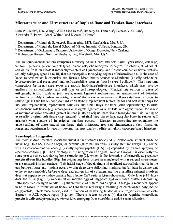 (PDF) Microstructure and Ultrastructure of Implant-Bone and Tendon-Bone ...