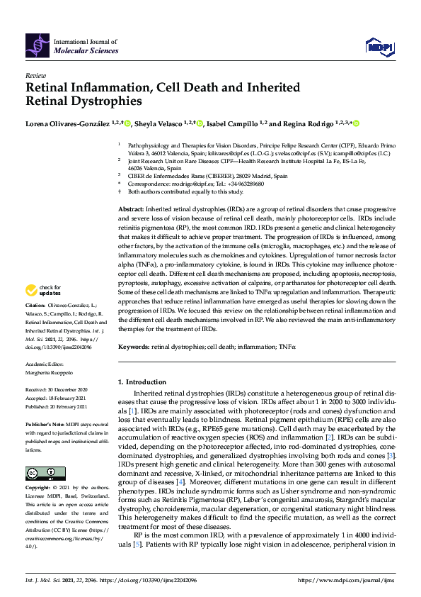 (PDF) Retinal Inflammation, Cell Death and Inherited Retinal Dystrophies