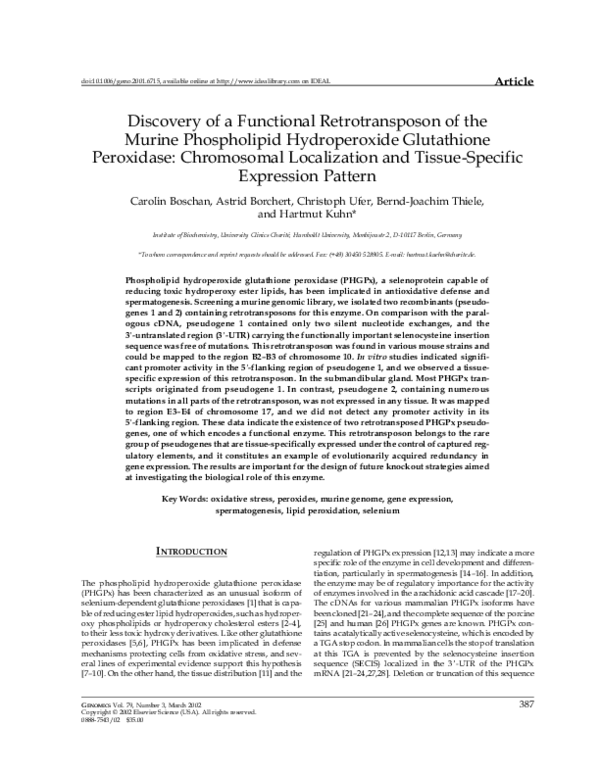 (PDF) Discovery of a Functional Retrotransposon of the Murine ...