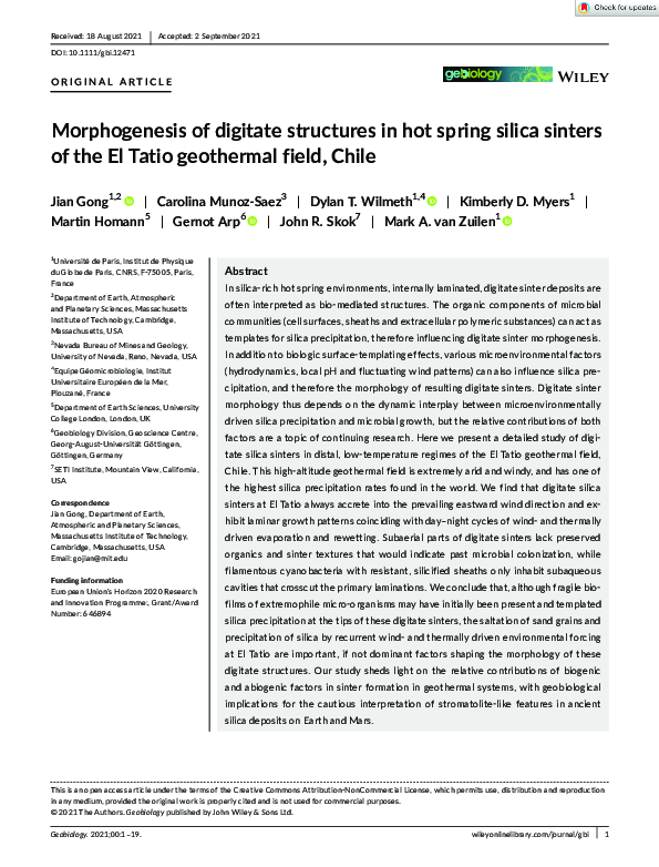 (PDF) Morphogenesis of digitate structures in hot spring silica sinters ...