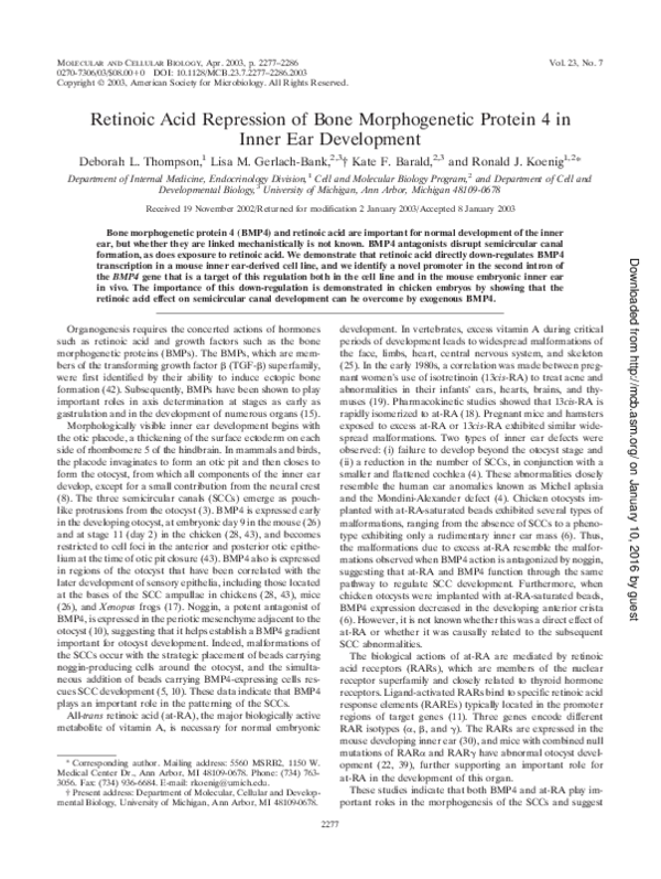 (PDF) Retinoic Acid Repression of Bone Morphogenetic Protein 4 in Inner ...