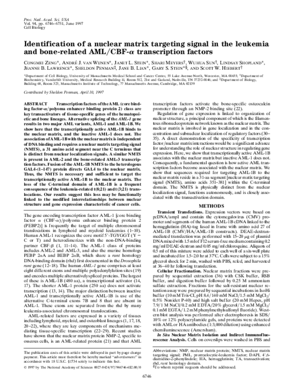(PDF) Identification of a nuclear matrix targeting signal in the ...