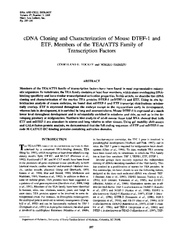 (PDF) cDNA Cloning and Characterization of Mouse DTEF-1 and ETF ...