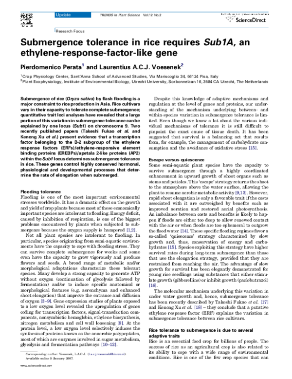 (PDF) Submergence tolerance in rice requires Sub1A, an ethylene ...