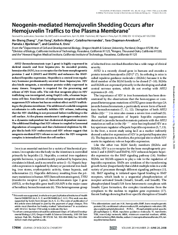 (PDF) Neogenin-mediated Hemojuvelin Shedding Occurs after Hemojuvelin ...