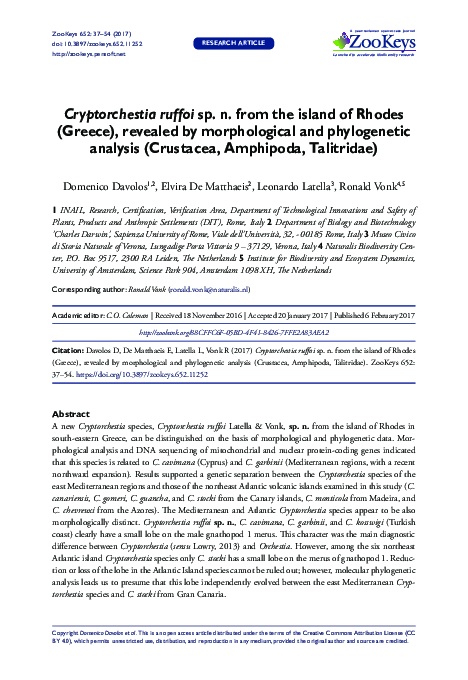 (PDF) Cryptorchestia ruffoi sp. n. from the island of Rhodes (Greece ...