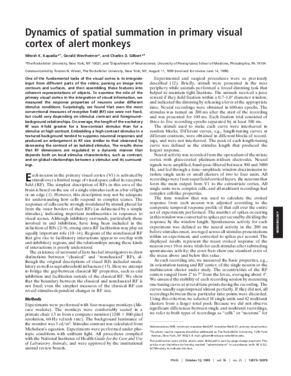 (PDF) Dynamics of spatial summation in primary visual cortex of alert ...