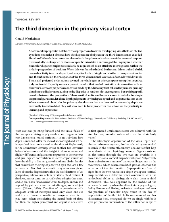 (PDF) The third dimension in the primary visual cortex