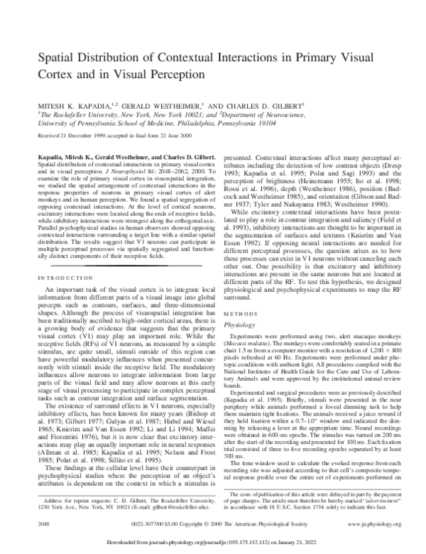 (PDF) Spatial Distribution of Contextual Interactions in Primary Visual ...
