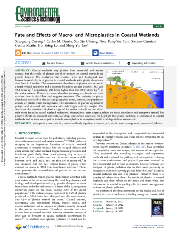(PDF) Fate and Effects of Macro-and Microplastics in Coastal Wetlands