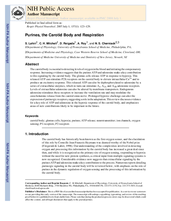 (PDF) Purines, the carotid body and respiration