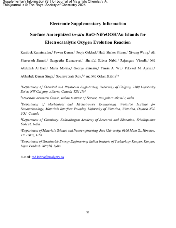 (PDF) Surface Amorphized in-situ RuO-NiFeOOH/Au Islands for ...