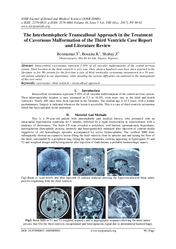 (PDF) The Interhemispheric Transcallosal Approach in the Treatment of ...
