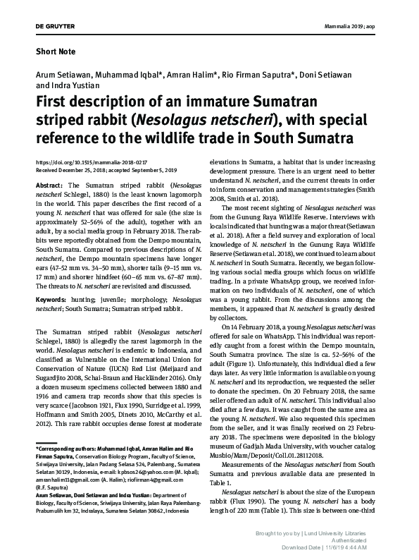(PDF) First description of an immature Sumatran striped rabbit ...