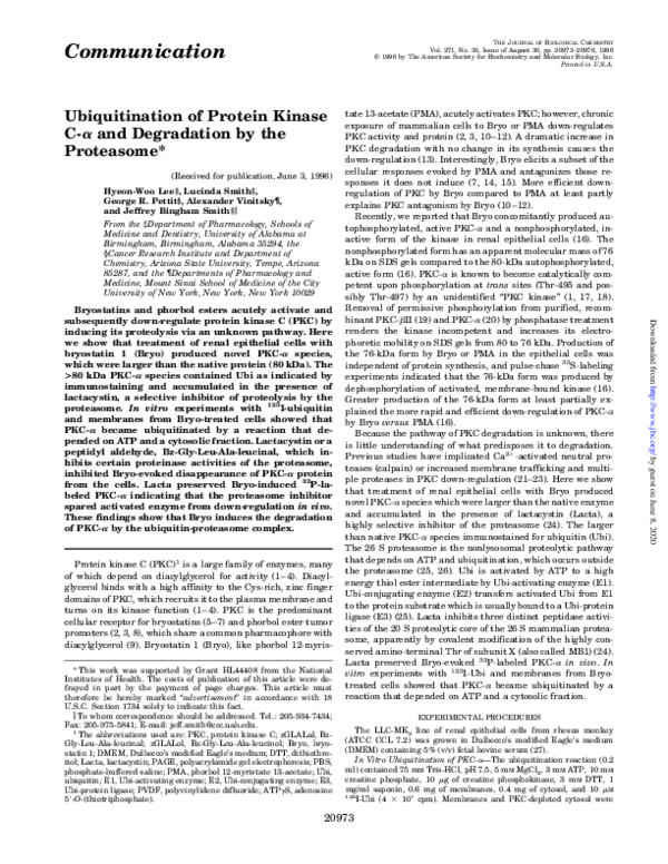 (PDF) Ubiquitination of Protein Kinase C-α and Degradation by the ...