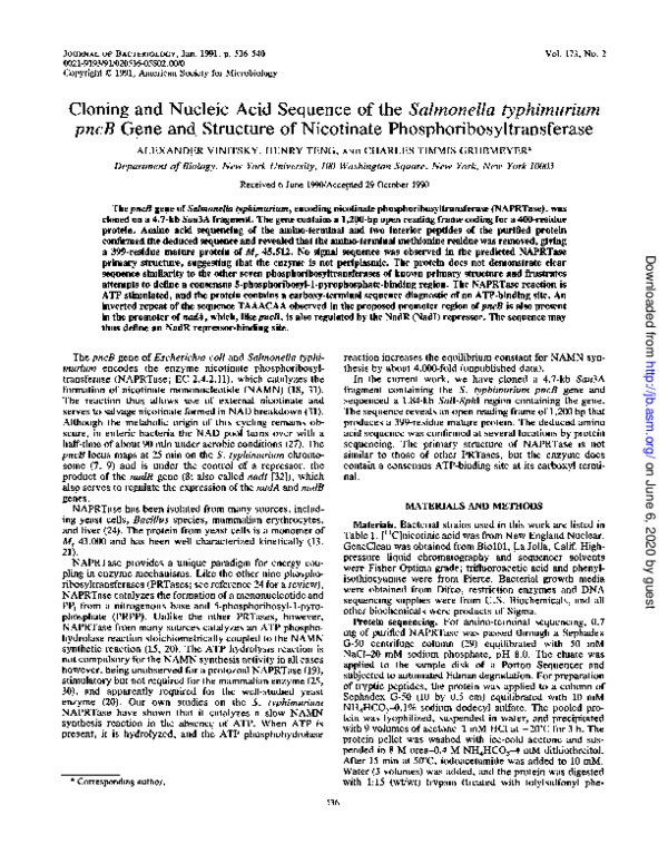 (PDF) Cloning and nucleic acid sequence of the Salmonella typhimurium ...