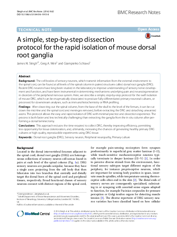 (PDF) A simple, step-by-step dissection protocol for the rapid ...