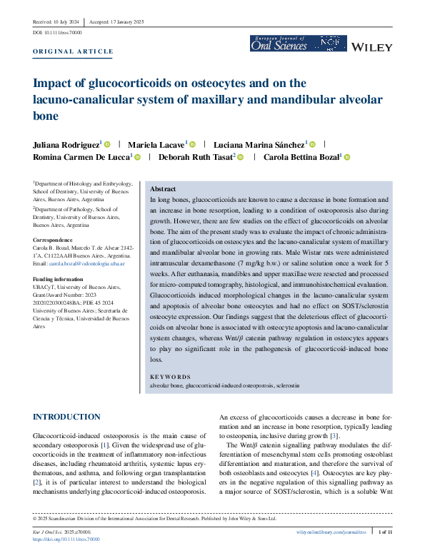 (PDF) Impact of glucocorticoids on osteocytes and on the lacuno ...
